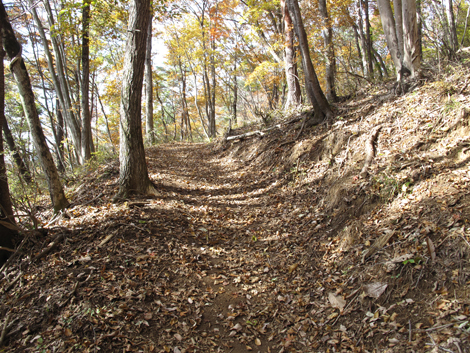 20161117hike (71)